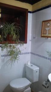 Een badkamer bij Casas Rurales Los Marantes