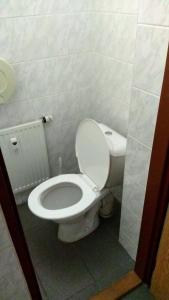 a bathroom with a white toilet in a stall at Pension na hranici in Železná Ruda