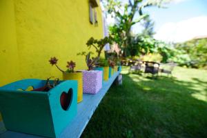 a row of potted plants sitting next to a yellow building at Agaseke Lodge Boquete in Boquete