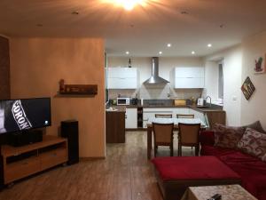 Kuchyňa alebo kuchynka v ubytovaní Apartment KOPA L