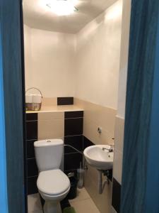 Kúpeľňa v ubytovaní Apartment KOPA L + 15 fotografií