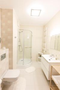 a bathroom with a shower and a toilet and a sink at Apartament 4k Nautica Szczecin in Szczecin