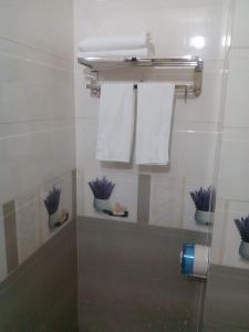 baño con toallas y macetas en un estante en Royal Hotel, en Hai Phong