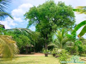 Gallery image of The Green Garden in Dambulla