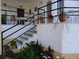 Fotografie z fotogalerie ubytování Kostas studios v destinaci Agios Georgios Pagon