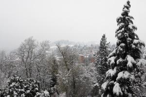 Villa Brizzi during the winter