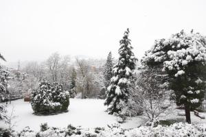 Villa Brizzi during the winter