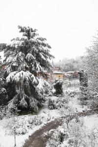 Villa Brizzi during the winter