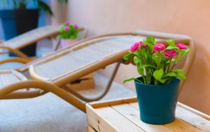 a blue vase with pink flowers sitting on a table at Wellenkind Surfschool in La Pared