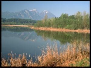a view of a lake with mountains in the background at Haus Sonnhügel in Sankt Kanzian