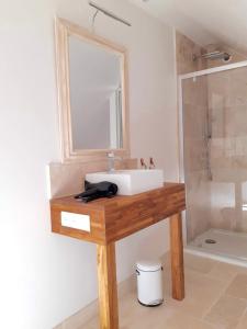 a bathroom with a sink and a mirror and a shower at L'ancien Presbytère in Coye-la-Forêt