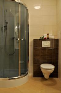 e bagno con servizi igienici e doccia in vetro. di Hotel nad Wigrami a Gawrych Ruda