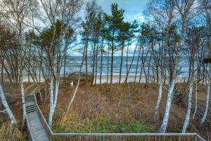 una escalera de madera que conduce a una playa con árboles en Villa Dune, en Sarbinowo