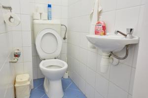 a bathroom with a toilet and a sink at Zoli Apartmanok-Anna Kölcsey 32 in Hajdúszoboszló