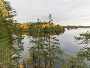 a view of a lake in the middle of trees at Holiday Home Nestori by Interhome in Vuoriniemi +22 photos