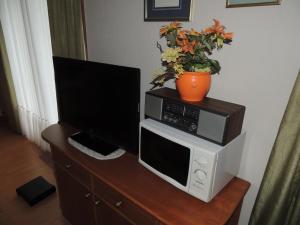 TV a/nebo společenská místnost v ubytování Appartement Eva