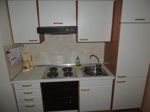 Kuchyň nebo kuchyňský kout v ubytování Appartement Eva