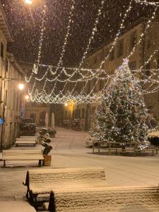 Un arbre de Noël dans une cour éclairée dans l'établissement Agriturismo La Leggenda, à Santa Fiora