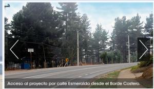 een lege weg met bomen aan de zijkant bij Condominio Parquemar!!! in El Tabo