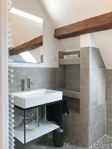 a bathroom with a sink and a shelf at Fuxbau in Neustadt an der Weinstraße