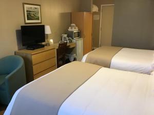 a hotel room with a bed, desk and television at Motel Bel-Eau in Montebello
