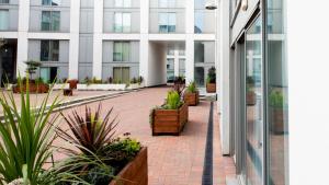 バーミンガムにあるThe Spires Serviced Apartments Birminghamの鉢植えの中庭