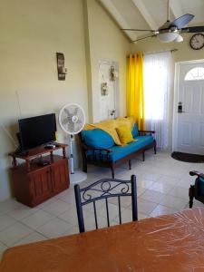 a living room with a couch and a tv at Spacious Colonial in Bridgetown