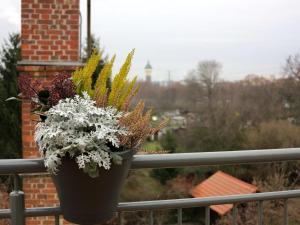 Ảnh trong thư viện ảnh của Sv. Petr (St. Peter) ở Plzeň