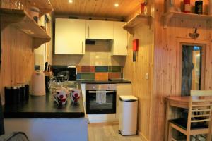 a kitchen with a stove and a counter top at Pine Marten Bar Glenmore Treehouse in Aviemore