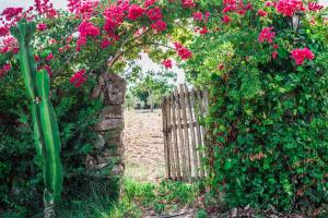 Fotografie z fotogalerie ubytování Finca Rural Son Amer v destinaci Manacor
