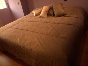 ブルゴスにあるJimena Parejasのベッドルーム1室(枕付)