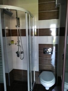 a bathroom with a toilet and a shower at Palmyra Studios in Stavros