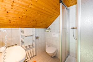 a bathroom with a toilet and a glass shower at Linharterhof in Haus im Ennstal +51 photos