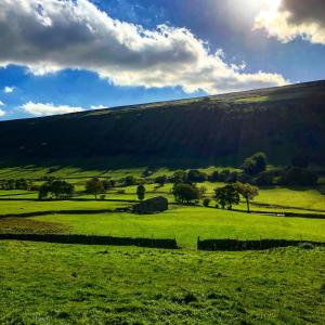 a green field with trees in the distance at The Racehorses Hotel in Kettlewell