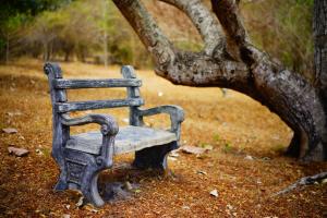Fotografie z fotogalerie ubytování Waters Edge, Anuradhapura v destinaci Anuradhápura