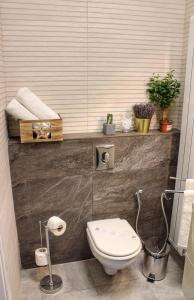 a bathroom with a toilet and a shelf with plants at DD Studio Deluxe in Sibiu