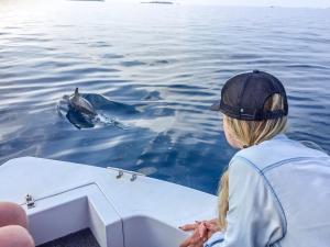 Gestir sem dvelja á Mathiveri Thundi Inn