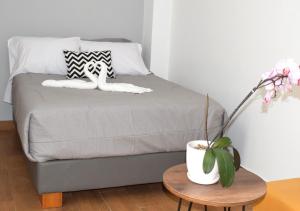 Un dormitorio con una cama y una mesa con una planta en Majhu Hostal, en Tacna