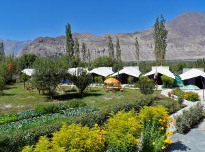 Gallery image of Tiger Camp Nubra in Nubra