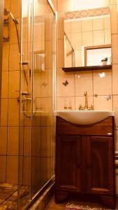 La salle de bains est pourvue d'un lavabo et d'une douche. dans l'établissement Fairytale apartment close to Bradu Ski Slope, à Poiana Brasov
