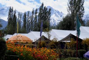 un grupo de tiendas y flores con montañas en el fondo en Tiger Camp Nubra en Nubra