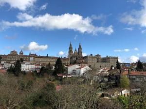 a cityscape of a city with buildings and a cathedral at Hostal Costa Azul in Santiago de Compostela