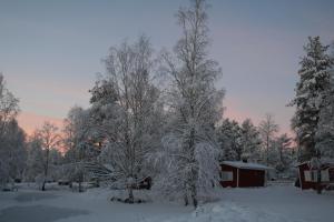 
Motelli Rovaniemi зимой
