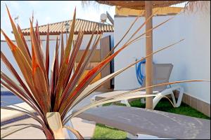 Fotografie z fotogalerie ubytování Chalet Muelle Pesquero 66 v destinaci Conil de la Frontera