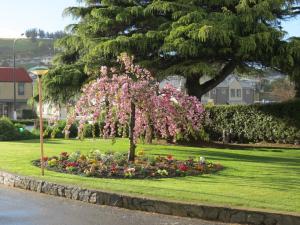 a garden with pink flowers in a park at 289 Midway Motel in Oamaru