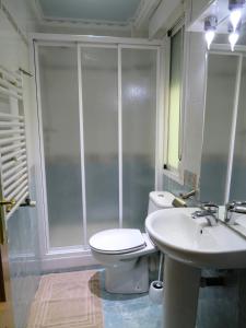 ein Bad mit einem WC, einem Waschbecken und einer Dusche in der Unterkunft Cálfred Junto a Parque Gallarza in Logroño