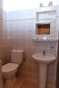 a bathroom with a toilet and a sink at Chata Slunečná in Jestrabi V Krkonosich