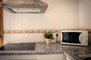 une cuisine avec un four micro-ondes sur un comptoir dans l'établissement Casa La Alegria De La Alcarria II, à Sigüenza