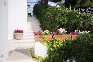 a garden with flowers in pots on a stairway at Apartamentos Gama in Cala Galdana