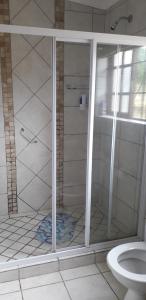 a shower in a bathroom with a toilet at Disa Lodge in Darling +18 photos